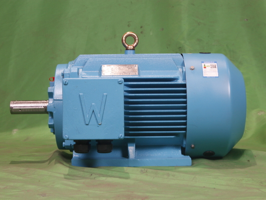 YE3 80M1 6p Class F Ac Three Phase Induction Motor 0.37kW IP55